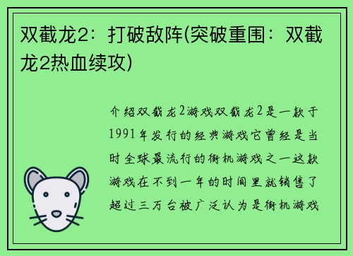 双截龙2：打破敌阵(突破重围：双截龙2热血续攻)